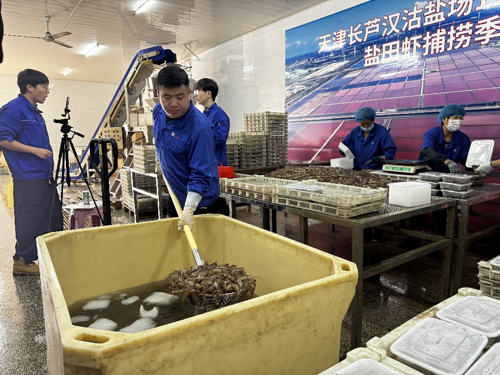 1758939339792097607.jpg cf9aa3eddd06deec8b55f509b829afbc.jpg